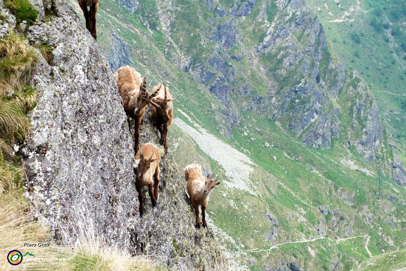 22 Acrobati sulle rocce.JPG